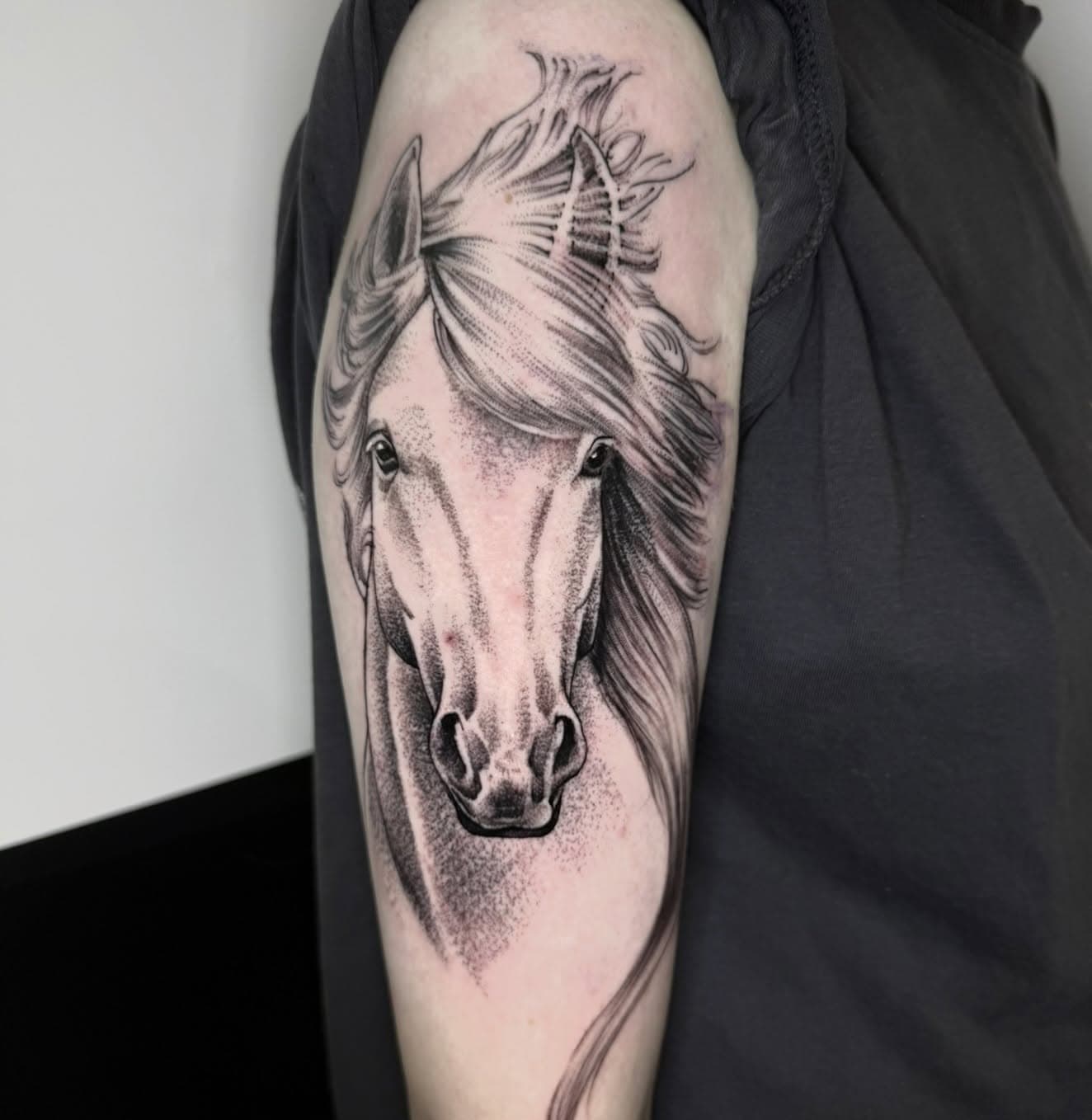 Finely shaded horse portrait tattoo on an upper arm